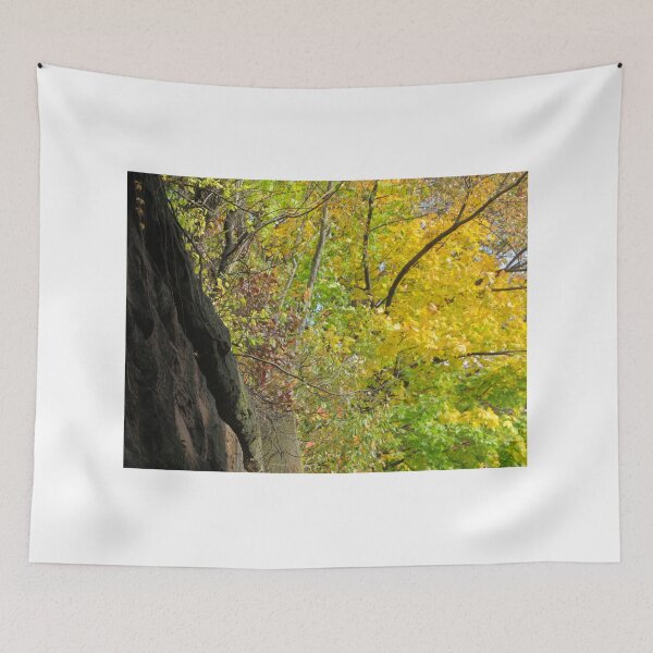 Item preview, Autumn Colors, Harsimus Branch Embankment, Jersey City, New Jersey designed and sold by lenspiro.