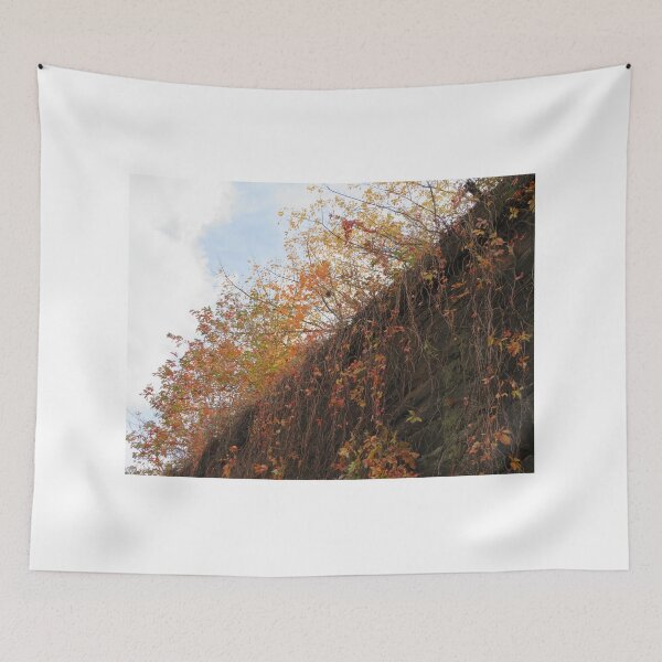 Item preview, Autumn Colors, Harsimus Branch Embankment, Jersey City, New Jersey designed and sold by lenspiro.