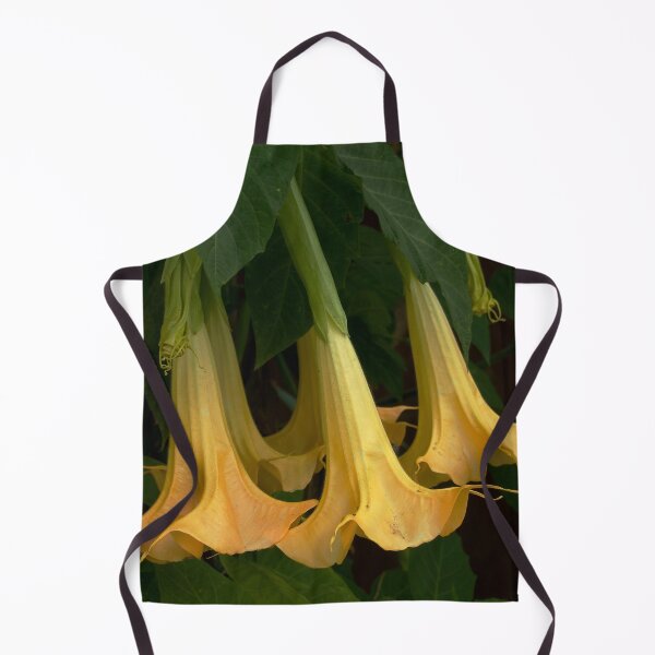Item preview, Brugmansia Blossoms designed and sold by Douglas E. Welch Design and Photography.