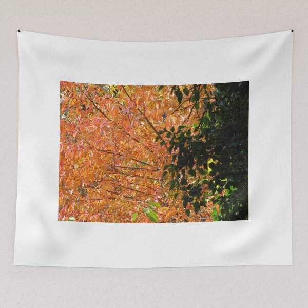 Item preview, Autumn Colors, Harsimus Branch Embankment, Jersey City, New Jersey designed and sold by lenspiro.