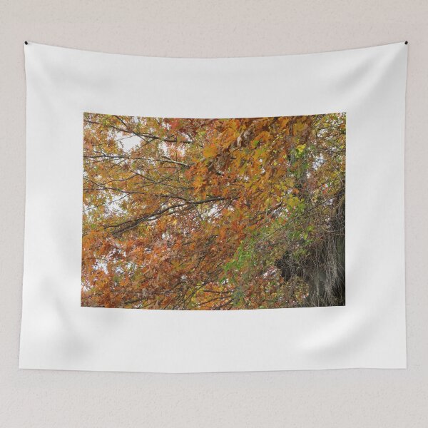 Item preview, Autumn Colors, Harsimus Branch Embankment, Jersey City, New Jersey designed and sold by lenspiro.