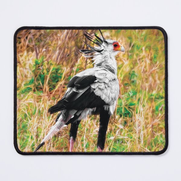 Item preview, The Secretary Bird designed and sold by Kay Brewer.