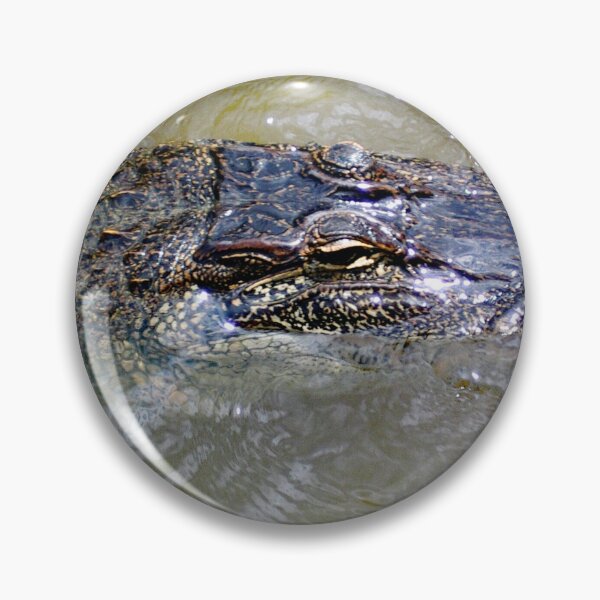 Item preview, Eye of the Gator designed and sold by John Schneider.