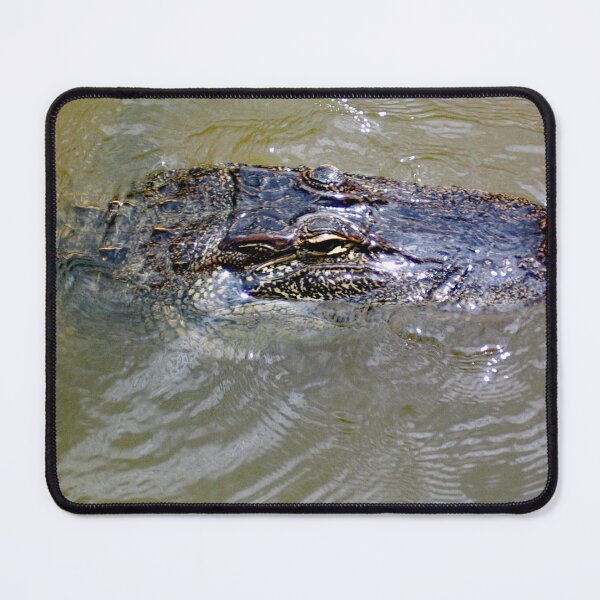 Item preview, Eye of the Gator designed and sold by John Schneider.