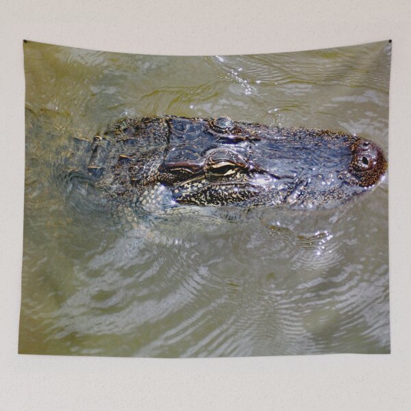 Item preview, Eye of the Gator designed and sold by John Schneider.