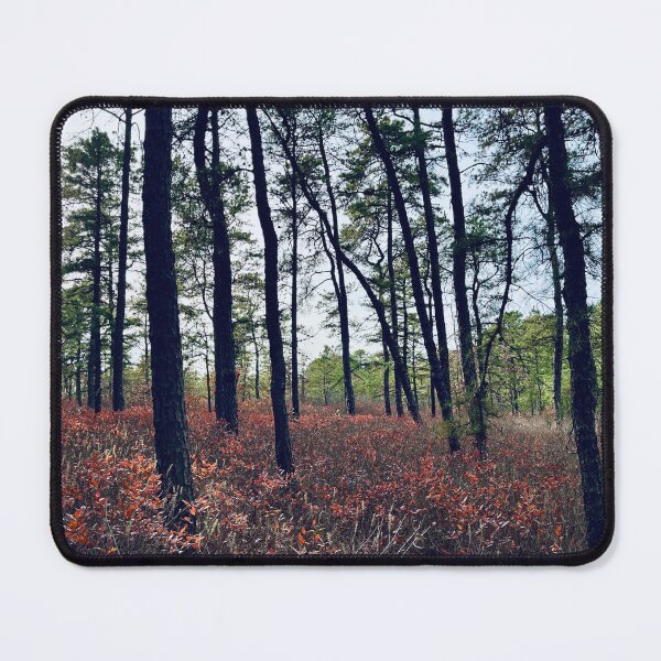 Item preview, Original Photography “Autumn Mood” - Fall Nature Art designed and sold by JamesDArting.