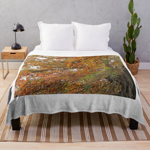 Item preview, Autumn Colors, Harsimus Branch Embankment, Jersey City, New Jersey designed and sold by lenspiro.