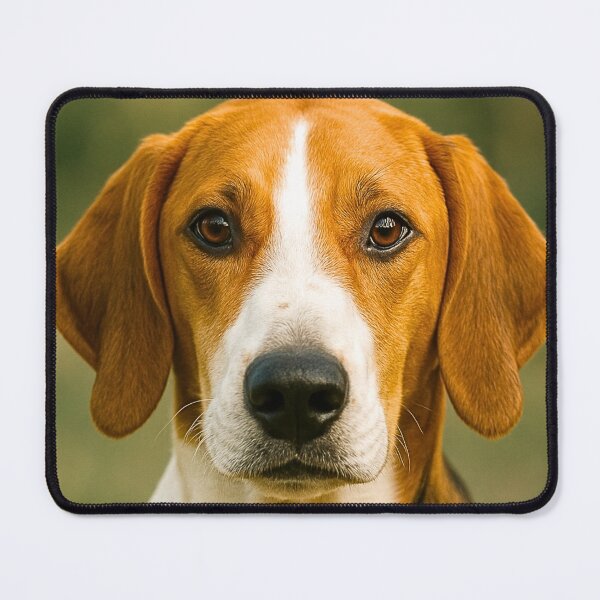 Item preview, English Foxhound Dog designed and sold by BackgroundND.