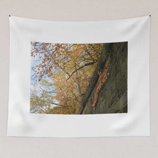 Item preview, Autumn Colors, Harsimus Branch Embankment, Jersey City, New Jersey designed and sold by lenspiro.