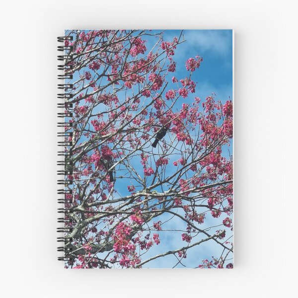 Item preview, Tui in a tree designed and sold by aligata1970.