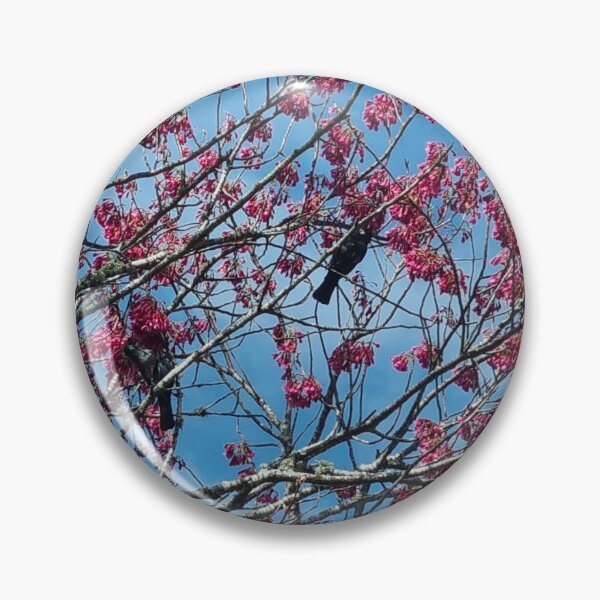 Item preview, Tui in a tree designed and sold by aligata1970.