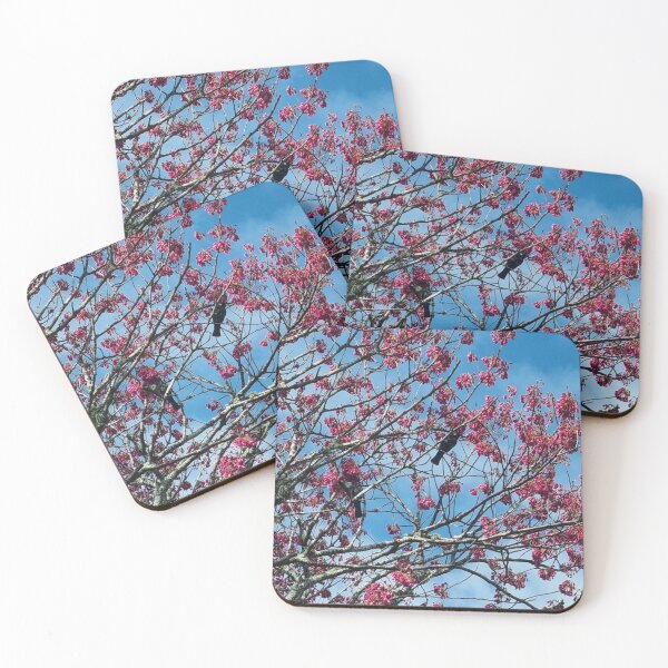 Item preview, Tui in a tree designed and sold by aligata1970.