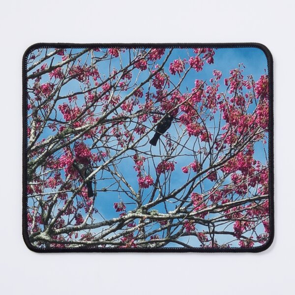 Item preview, Tui in a tree designed and sold by aligata1970.
