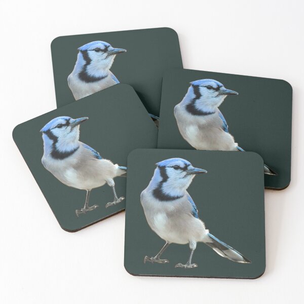 Artikelvorschau, Blue Jay entworfen und verkauft von MLJM_Photography.
