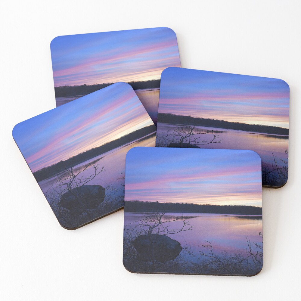 Item preview, Coasters (Set of 4) designed and sold by indigocrow.