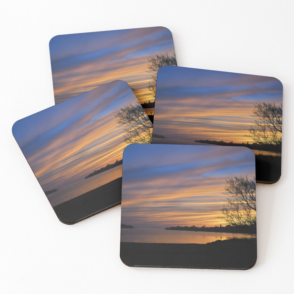Item preview, Coasters (Set of 4) designed and sold by indigocrow.