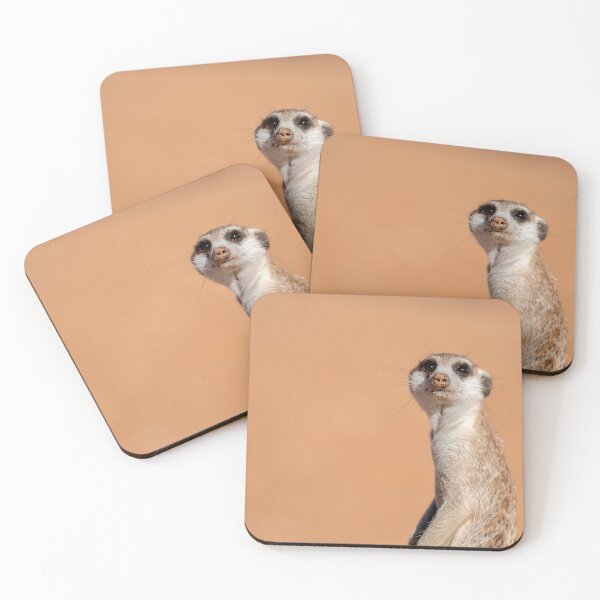 Item preview, Kalahari Sentinel, Meerkat Portrait, Desert Light designed and sold by DavideAntoniani.