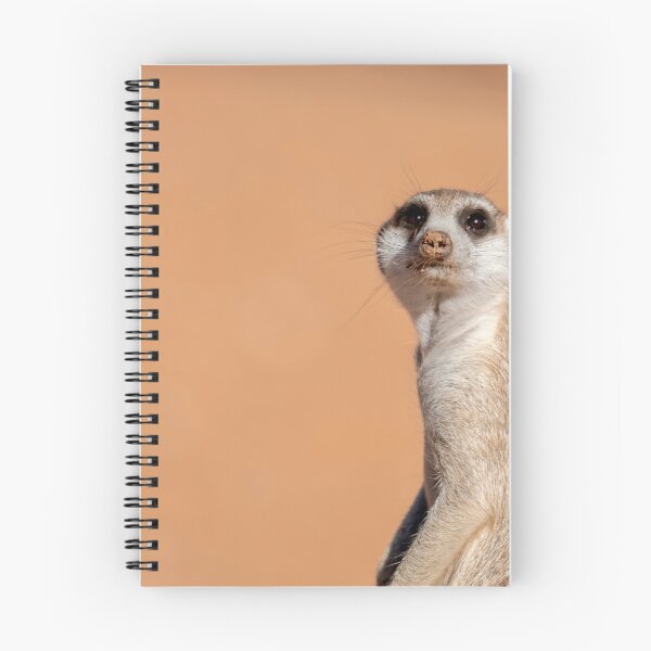 Item preview, Kalahari Sentinel, Meerkat Portrait, Desert Light designed and sold by DavideAntoniani.