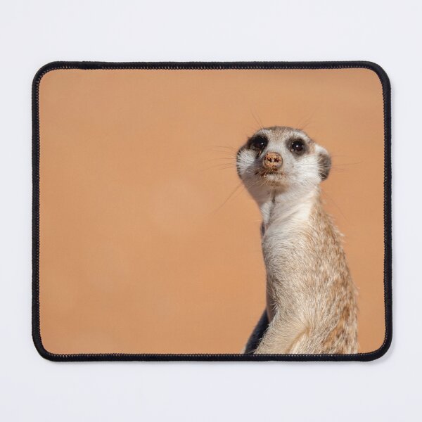 Item preview, Kalahari Sentinel, Meerkat Portrait, Desert Light designed and sold by DavideAntoniani.