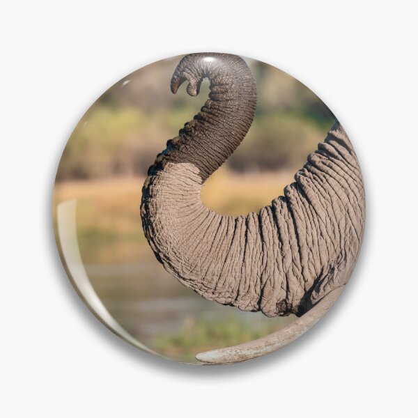 Item preview, Curved Trunk at the Water Edge, African Elephant, Chobe River, Botswana designed and sold by DavideAntoniani.