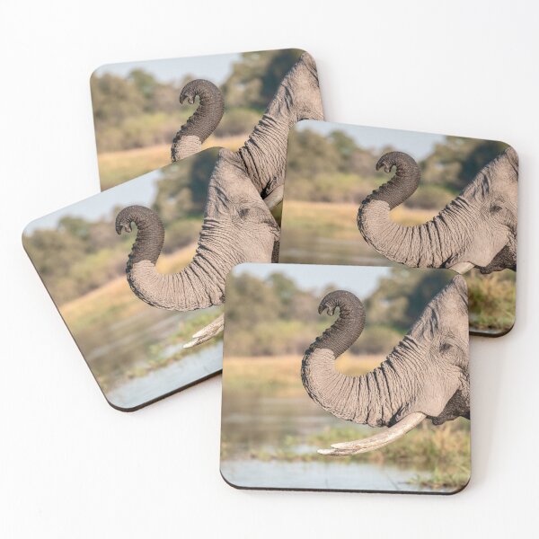 Item preview, Curved Trunk at the Water Edge, African Elephant, Chobe River, Botswana designed and sold by DavideAntoniani.