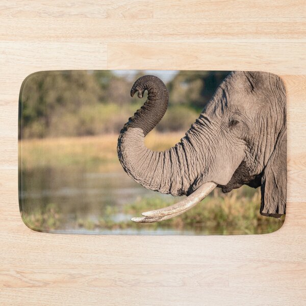 Item preview, Curved Trunk at the Water Edge, African Elephant, Chobe River, Botswana designed and sold by DavideAntoniani.