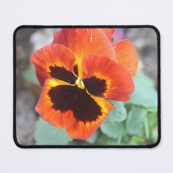 Item preview, Brilliant orange flower designed and sold by aligata1970.