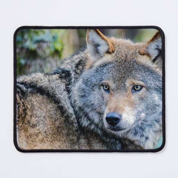 Item preview, Wolf 01 designed and sold by Allenart_UK.