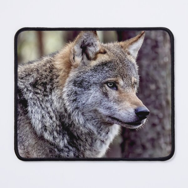 Artikelvorschau, Wolf 05 entworfen und verkauft von Allenart_UK.