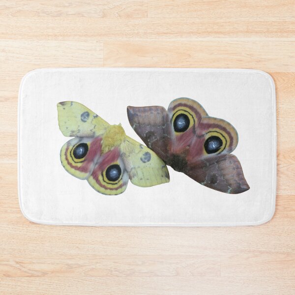 Item preview, Automeris io / Io moth male and female  designed and sold by Entomologist.
