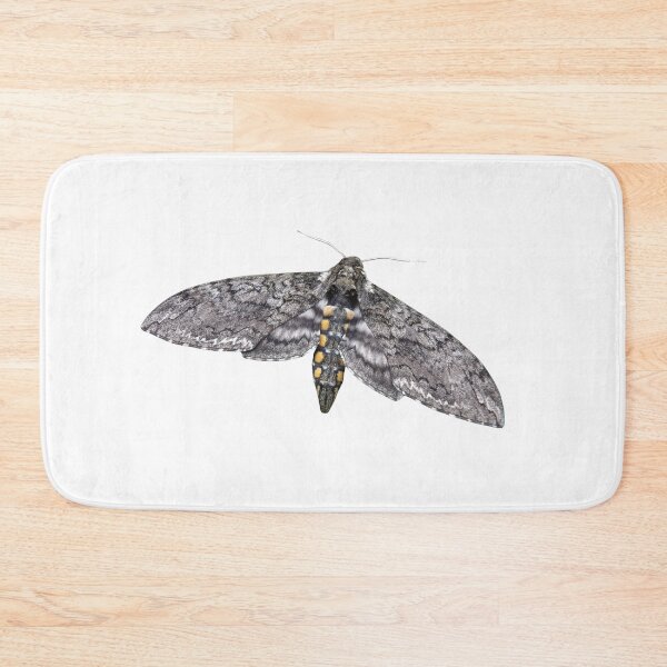 Item preview, Manduca sexta: tobacco hornworm designed and sold by Entomologist.