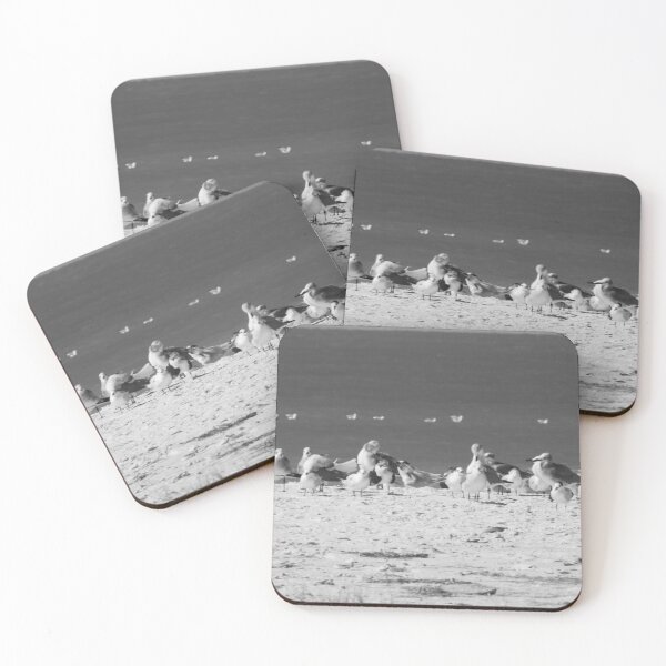 Item preview, Seagulls gather along the sandy shores of Fort De Soto Park in Pinellas County, overlooking the tranquil waters of Tampa Bay designed and sold by EyezWatchin.