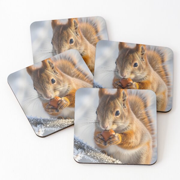 Item preview, Red squirrel holding a hazelnut on a frosty branch designed and sold by homydesign.