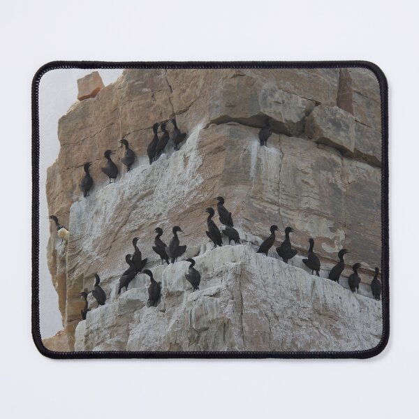 Item preview, Socotra Cormorants at Roost: Musandam's Rugged Coastline designed and sold by Greysline.