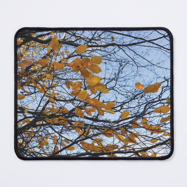 Item preview, Golden Wych Elm Leaves during Autumn designed and sold by Maddy the Maker.