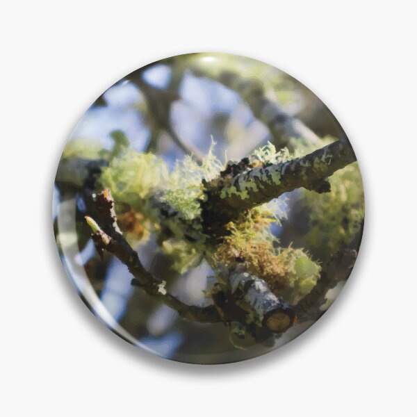 Item preview, Usnea Lichen on Nashi Pear Branches designed and sold by Maddy the Maker.