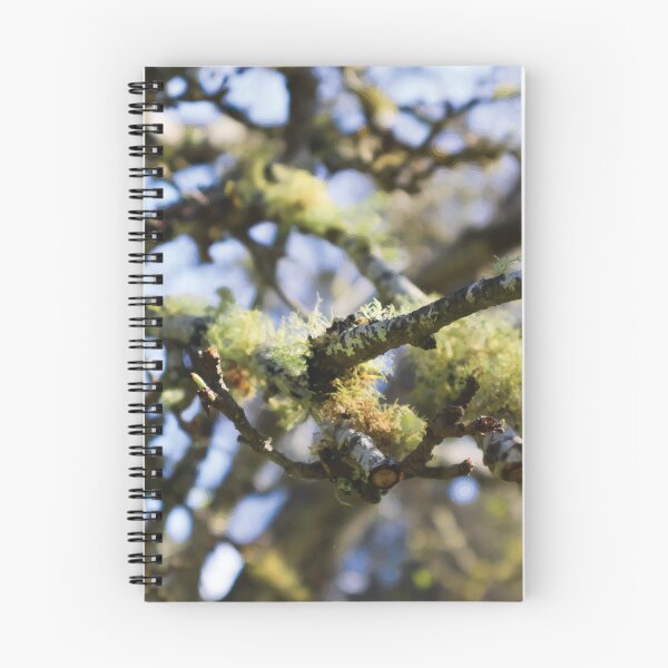 Item preview, Usnea Lichen on Nashi Pear Branches designed and sold by Maddy the Maker.