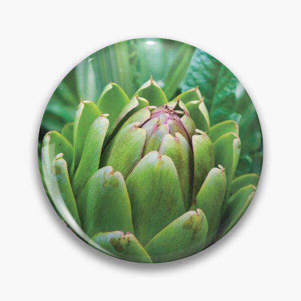 Item preview, Ripe Globe Artichoke Ready for Harvest designed and sold by Maddy the Maker.