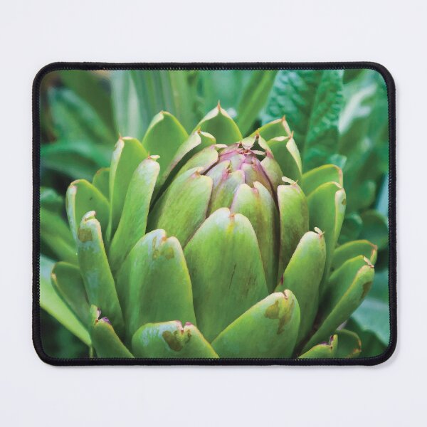 Item preview, Ripe Globe Artichoke Ready for Harvest designed and sold by Maddy the Maker.