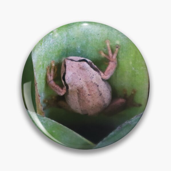 Item preview, Southern Brown Tree Frog on Bromeliad designed and sold by Maddy the Maker.