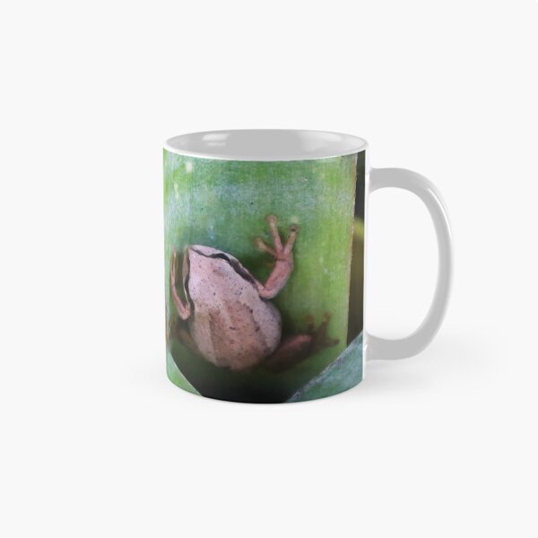 Item preview, Southern Brown Tree Frog on Bromeliad designed and sold by Maddy the Maker.