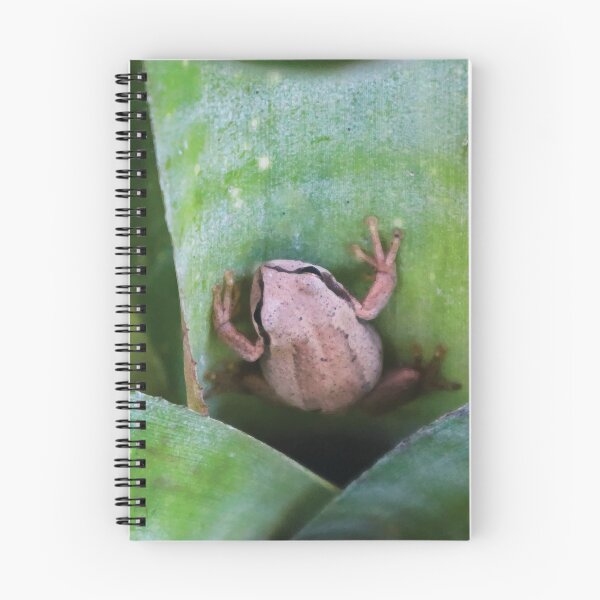 Item preview, Southern Brown Tree Frog on Bromeliad designed and sold by Maddy the Maker.