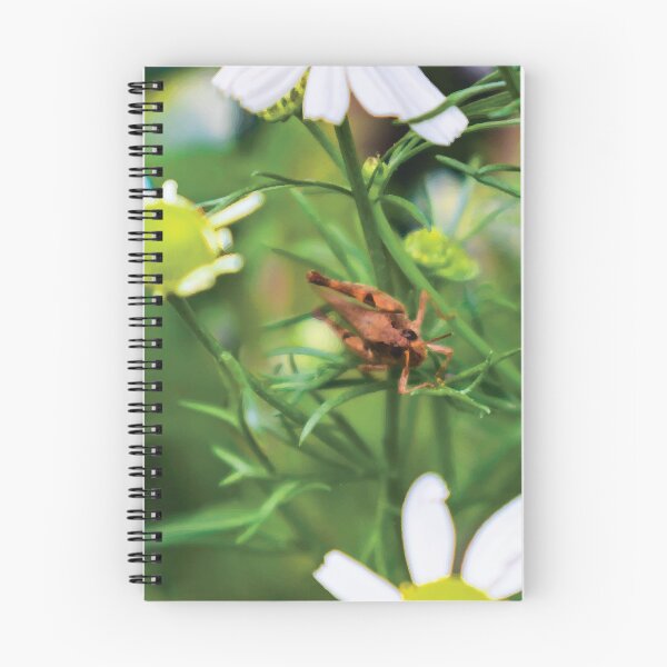 Item preview, Wingless Grasshopper on German Chamomile designed and sold by Maddy the Maker.