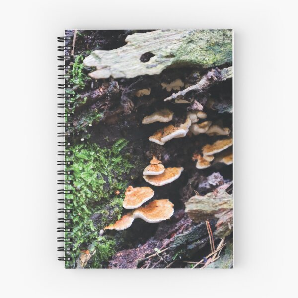 Item preview, Truncospora Ochroleuca Mushrooms in a Mossy Hollow Log designed and sold by Maddy the Maker.