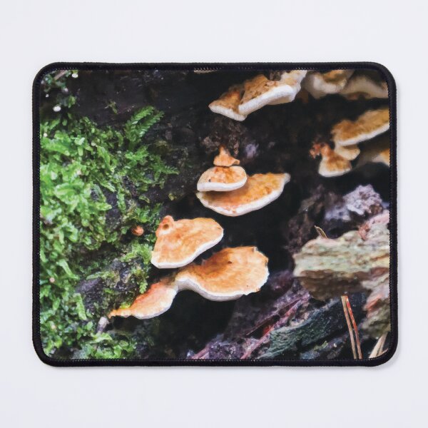 Item preview, Truncospora Ochroleuca Mushrooms in a Mossy Hollow Log designed and sold by Maddy the Maker.