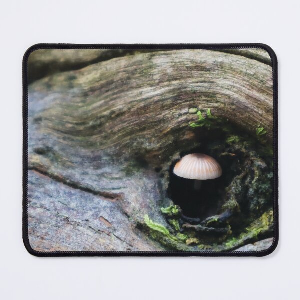 Item preview, Mycena Carmeliana Mushroom in a Mossy Knothole designed and sold by Maddy the Maker.