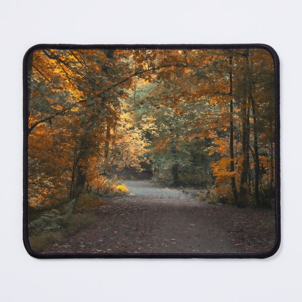 Item preview, Autumn In Sunlight designed and sold by Christine Lake.