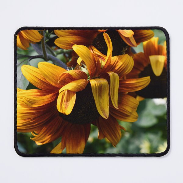 Item preview, Golden Sun and Petals designed and sold by Kerri Ann McClellan.