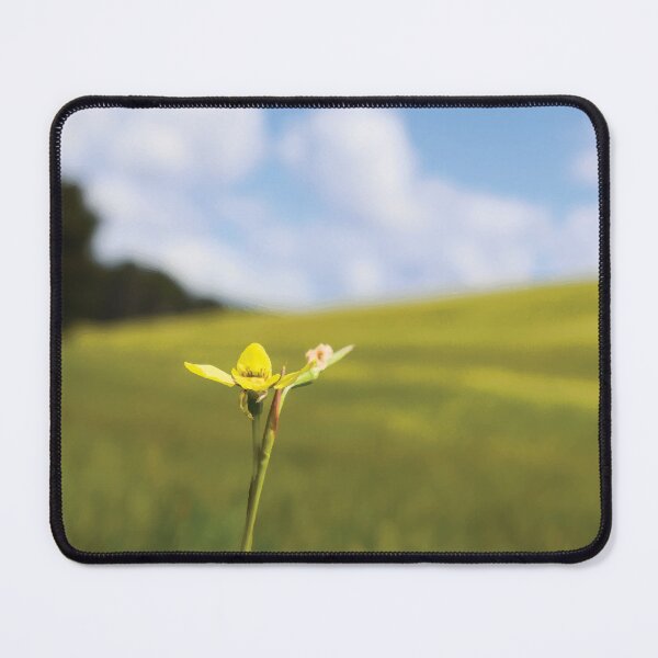 Item preview, Golden Moth Orchid Under a Cloudy Blue Sky designed and sold by Maddy the Maker.