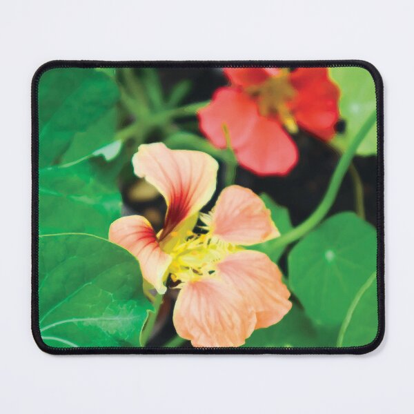 Item preview, Rainbow Nasturtium Trio designed and sold by Maddy the Maker.